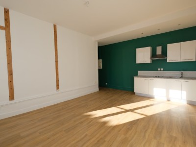 APPARTEMENT T2 A LOUER - ST ETIENNE ANATOLE FRANCE - 47.49 m2 - 450�&euro; charges comprises par mois