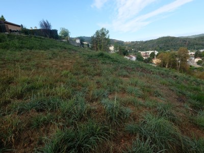 TERRAIN A VENDRE - UNIEUX - 114900€