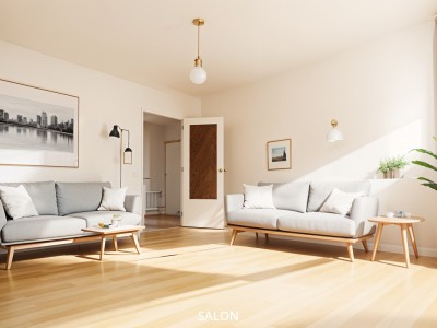 APPARTEMENT T2 - ST ETIENNE CENTRE VILLE - 48.23 m2 - VENDU