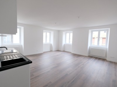 APPARTEMENT T3 A LOUER - ST ETIENNE CENTRE VILLE - 76.34 m2 - 735 &euro; charges comprises par mois