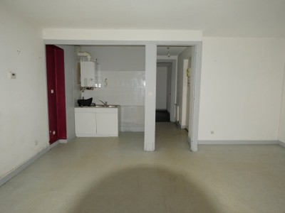 IMMEUBLE DE RAPPORT A VENDRE - FIRMINY - 495 m2 - 370000 €