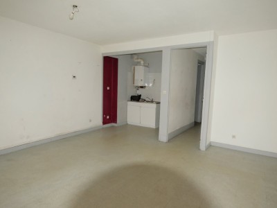 IMMEUBLE DE RAPPORT A VENDRE - FIRMINY - 495 m2 - 370000 €