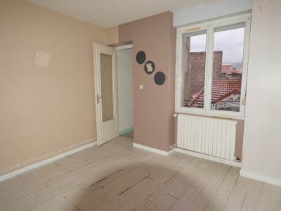 IMMEUBLE DE RAPPORT A VENDRE - FIRMINY - 495 m2 - 370000 €