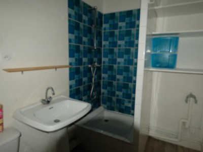 IMMEUBLE DE RAPPORT A VENDRE - FIRMINY - 495 m2 - 370000 €