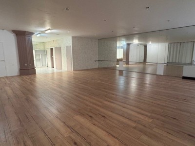 LOCAL COMMERCIAL A VENDRE - ST ETIENNE BERGSON - 140.43 m2 - 90000€ 