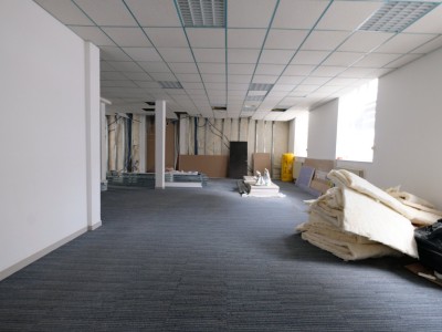 LOCAL D ACTIVITE A VENDRE - ST ETIENNE BELLEVUE - 215 m2 - 250000€ 