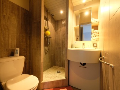 MAISON A VENDRE - ST ETIENNE FAURIEL - 214 m2 - 495 000 €