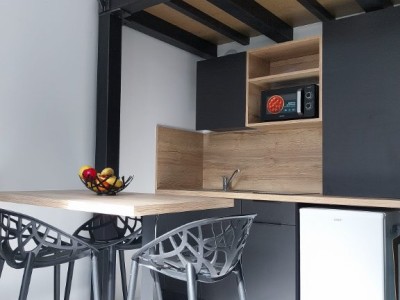 STUDIO A LOUER - ST ETIENNE BELLEVUE - 28.62 m2 - 440€ charges comprises par mois