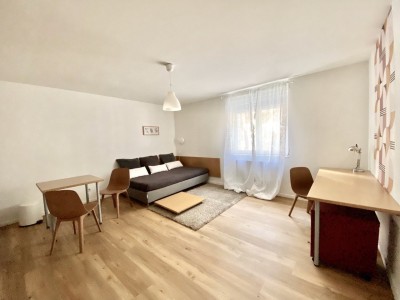 STUDIO A LOUER - ST ETIENNE FACULTE / CENTRE DEUX - 27.09 m2 - 410 &euro; charges comprises par mois