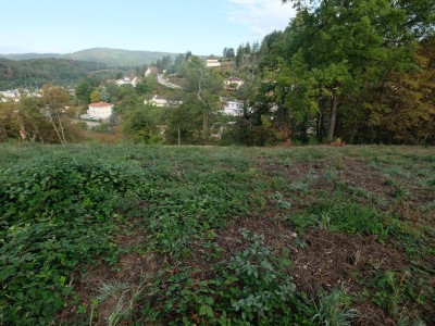 TERRAIN A VENDRE - UNIEUX - 124900 €