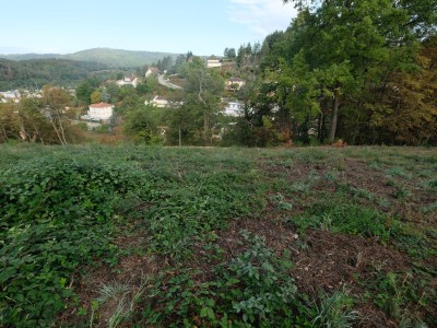 TERRAIN A VENDRE - UNIEUX - 109900€