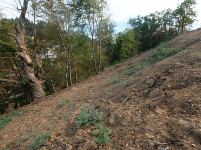 TERRAIN A VENDRE - UNIEUX - 94900€