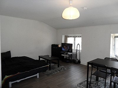 APPARTEMENT T1 A LOUER - ST ETIENNE CENTRE VILLE - 31,48 m2 - 350 € charges comprises par mois