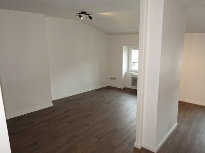 APPARTEMENT T1 A LOUER - ST ETIENNE CENTRE VILLE - 34.49 m2 - 350 € charges comprises par mois