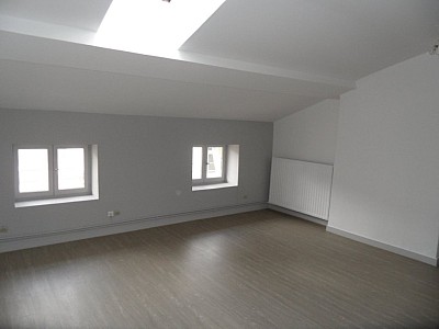 APPARTEMENT T1 A LOUER - ST ETIENNE CENTRE VILLE - 45.18 m2 - 375€ charges comprises par mois