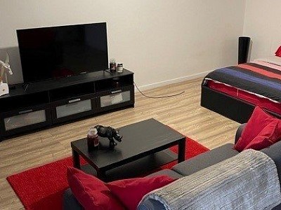 APPARTEMENT T1 A LOUER - ST ETIENNE FAURIEL - 42.92 m2 - 490€ charges comprises par mois