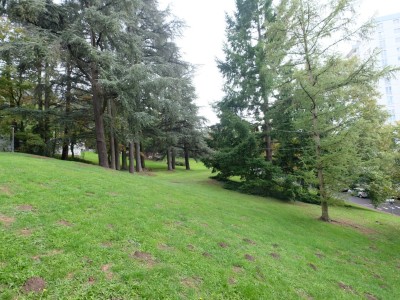 APPARTEMENT T1 A LOUER - ST ETIENNE LA MTARE - 30.33 m2 - 450 € charges comprises par mois