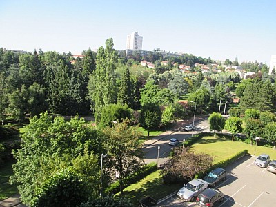 APPARTEMENT T1 A LOUER - ST ETIENNE PROXIMITE PARC DE L EUROPE - 31.78 m2 - 430€ charges comprises par mois