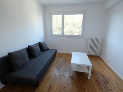APPARTEMENT T1 A VENDRE - ST ETIENNE BERGSON - 24,33 m2 - 52000 €