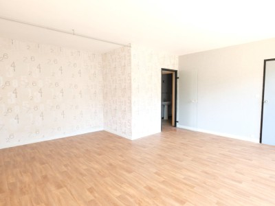 APPARTEMENT T1 A VENDRE - ST ETIENNE FAURIEL - 41.99 m2 - 70000€