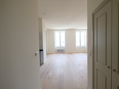 APPARTEMENT T2 A LOUER - ST ETIENNE CENTRE VILLE - 60,96 m2 - 625 € charges comprises par mois