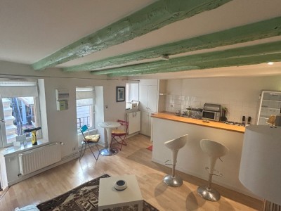 APPARTEMENT T2 A LOUER - ST ETIENNE CENTRE VILLE - 39.55 m2 - 470€ charges comprises par mois