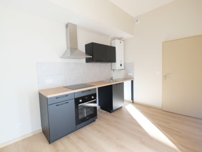 APPARTEMENT T2 A LOUER - ST ETIENNE CENTRE VILLE - 59.79 m2 - 540 € charges comprises par mois