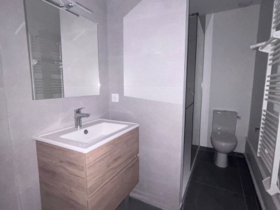 APPARTEMENT T2 A LOUER - ST ETIENNE CENTRE VILLE - 53.49 m2 - 515 € charges comprises par mois
