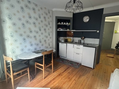 APPARTEMENT T2 A LOUER - ST ETIENNE CENTRE VILLE - 35.27 m2 - 495 € charges comprises par mois