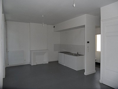APPARTEMENT T2 A LOUER - ST ETIENNE CENTRE VILLE - 56.32 m2 - 495€ charges comprises par mois