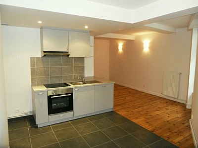 APPARTEMENT T2 A LOUER - ST ETIENNE CENTRE VILLE - 49.84 m2 - 505 &euro; charges comprises par mois