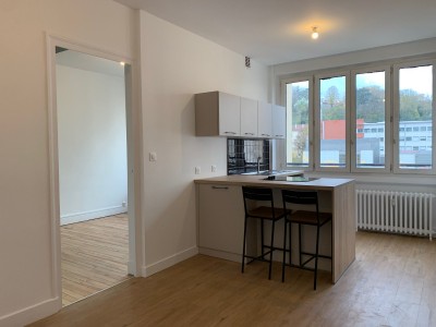 APPARTEMENT T2 A LOUER - ST ETIENNE FACULTE / CENTRE DEUX - 34 m2 - 485 € charges comprises par mois