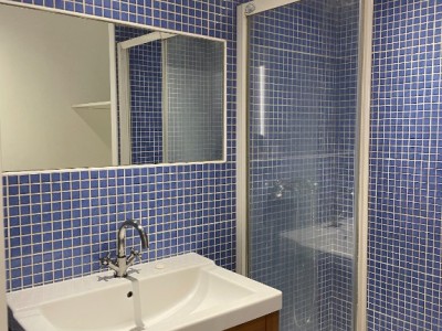 APPARTEMENT T2 A LOUER - ST ETIENNE FACULTE / CENTRE DEUX - 44 m2 - 387 € charges comprises par mois