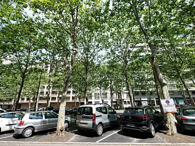APPARTEMENT T2 A LOUER - ST ETIENNE FAURIEL - 50 m2 - 470�&euro; charges comprises par mois