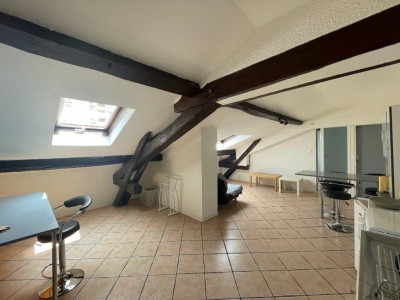 APPARTEMENT T2 A LOUER - ST ETIENNE FAURIEL - 30 m2 - 368€ charges comprises par mois
