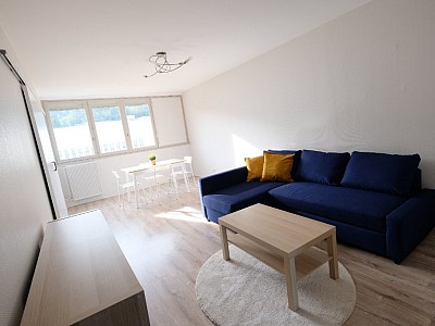 APPARTEMENT T2 A LOUER - ST ETIENNE LA MTARE - 55 m2 - 565€ charges comprises par mois