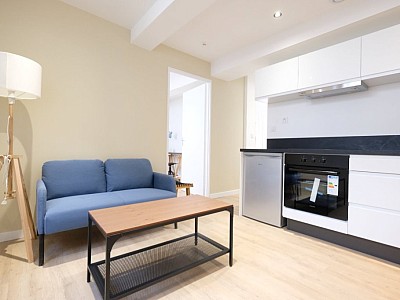 APPARTEMENT T2 A LOUER - ST ETIENNE PROCHE CHATEAUCREUX - 29.78 m2 - 430 &euro; charges comprises par mois