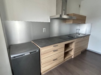 APPARTEMENT T2 A LOUER - ST ETIENNE PLACE GRENETTE - 50.72 m2 - 490€ charges comprises par mois