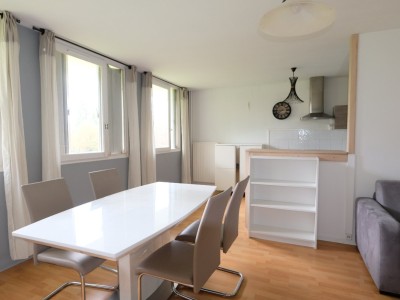 APPARTEMENT T2 A VENDRE - ST ETIENNE FAURIEL - 54.1 m2 - 67 000 &euro;
