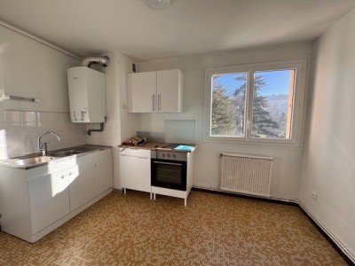 APPARTEMENT T2 A VENDRE - ST ETIENNE LA MTARE - 49.82 m2 - 54000€