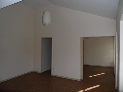 APPARTEMENT T3 A LOUER - ST ETIENNE CENTRE VILLE - 56.4 m2 - 440 € charges comprises par mois