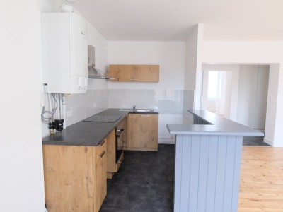 APPARTEMENT T3 A LOUER - ST ETIENNE CENTRE VILLE - 55.24 m2 - 530 € charges comprises par mois