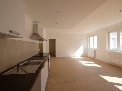 APPARTEMENT T3 A LOUER - ST ETIENNE CENTRE VILLE - 83 m2 - 760€ charges comprises par mois