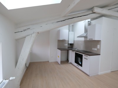 APPARTEMENT T3 A LOUER - ST ETIENNE CENTRE VILLE - 65 m2 - 720 € charges comprises par mois