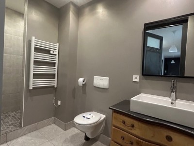 APPARTEMENT T3 A LOUER - ST ETIENNE CENTRE VILLE - 157.04 m2 - 915€ charges comprises par mois