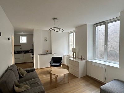 APPARTEMENT T3 A LOUER - ST ETIENNE CENTRE VILLE - 50.78 m2 - 597 € charges comprises par mois