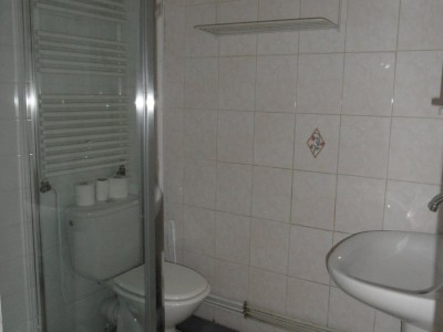 APPARTEMENT T3 A LOUER - ST ETIENNE CENTRE VILLE - 53 m2 - 480 € charges comprises par mois