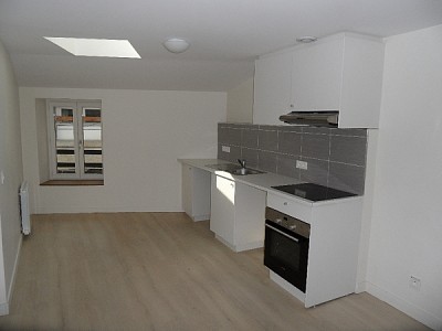 APPARTEMENT T3 A LOUER - ST ETIENNE CENTRE VILLE - 51,16 m2 - 460 € charges comprises par mois