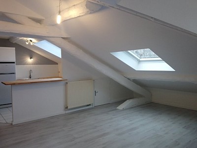 APPARTEMENT T3 A LOUER - ST ETIENNE FAURIEL - 46.02 m2 - 512 € charges comprises par mois