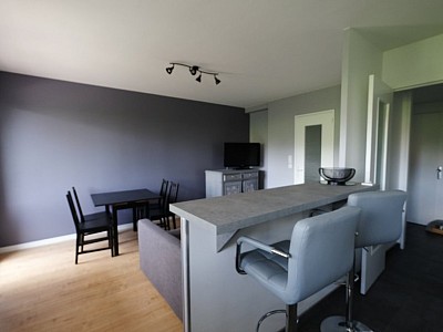 APPARTEMENT T3 A LOUER - ST ETIENNE FAURIEL - 58.14 m2 - 700€ charges comprises par mois